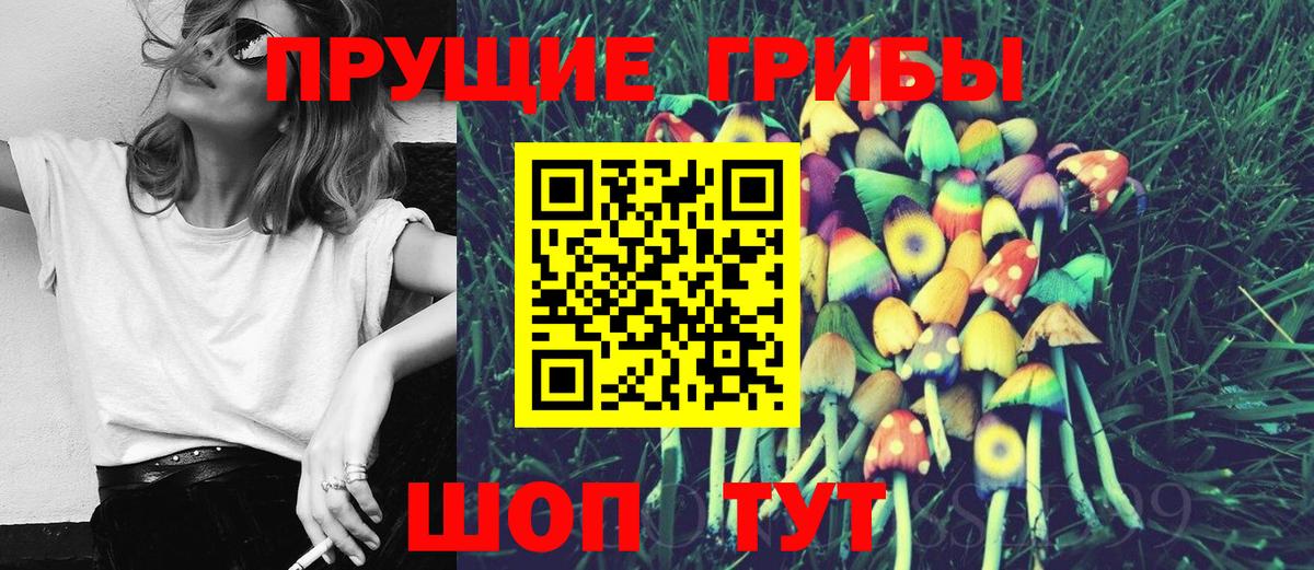 Псилоцибиновые грибы Psilocybine cubensis Новокуйбышевск